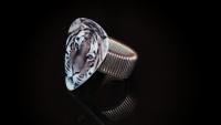 Guitar Pick Adjustable Ring - Lion or Tiger Design!